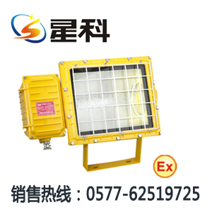 BC9130防泛光灯,BTC6150报价:BC9130