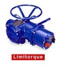 LIMITOQUEпִ