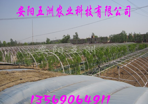֧ܻҴǼֳܻﰲ