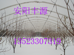 ܴ֧ܻ֧ǼܣԴ