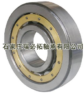 N1010K.M1.SPFAG进口轴承FAG圆柱滚子轴承