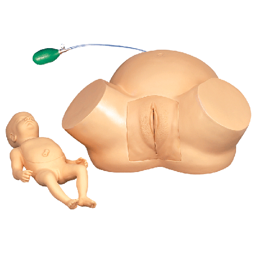 Ѳʾѵģ