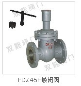 բ(FDZ45H)