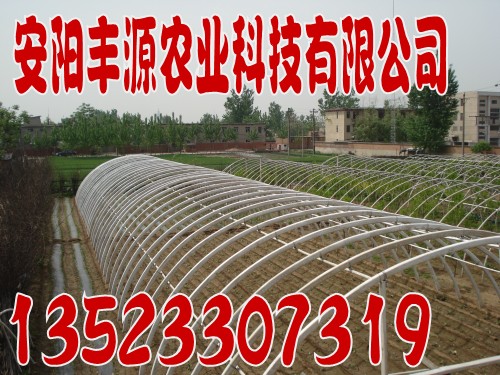 ʹǼֳܻǼܻԴũǼܻ