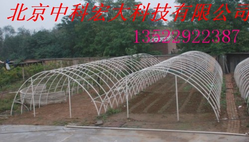 ҴǼܻ(С)