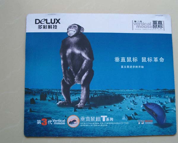 ݵ泧ңɽ涨Ϸֱ̣ʽӱ