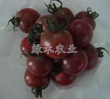 ϣ--ڷ