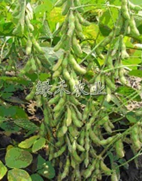 涹|жִ