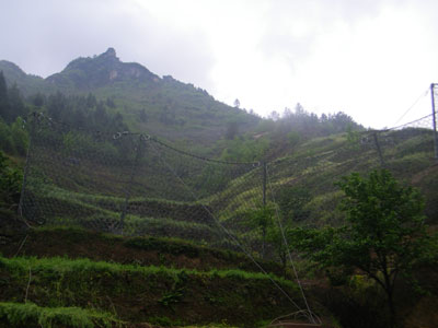 ROCCOԻ