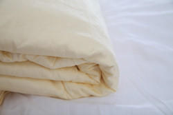 ˲˿1.6