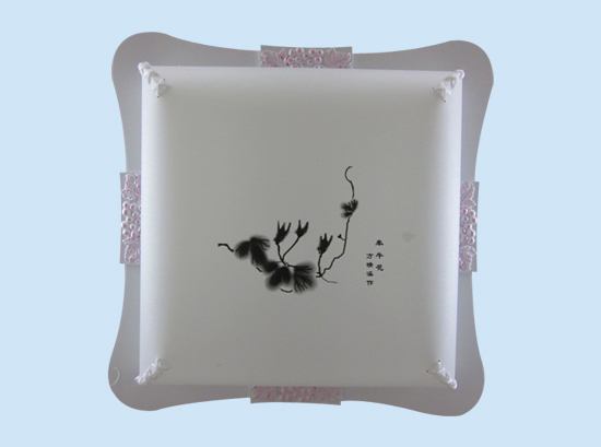 Ƥ(\AY-6012)