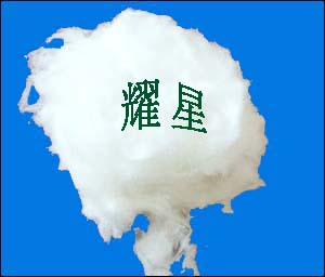 մά޸