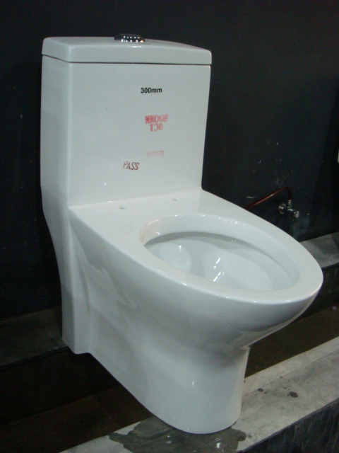 Чˮ(HS-2096)
