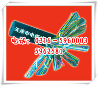 机场通信电缆,飞机场通信电缆,机场电缆