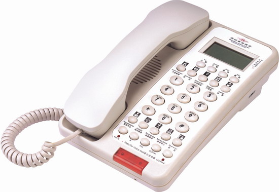 Ƶ(WT1310S)