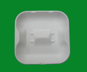 ˮ(BPX4)