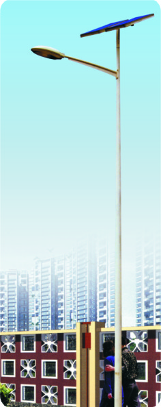 ̫·(YZY-LD-021)