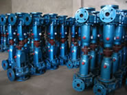 IS100-80-160ϵˮ20W-20б
