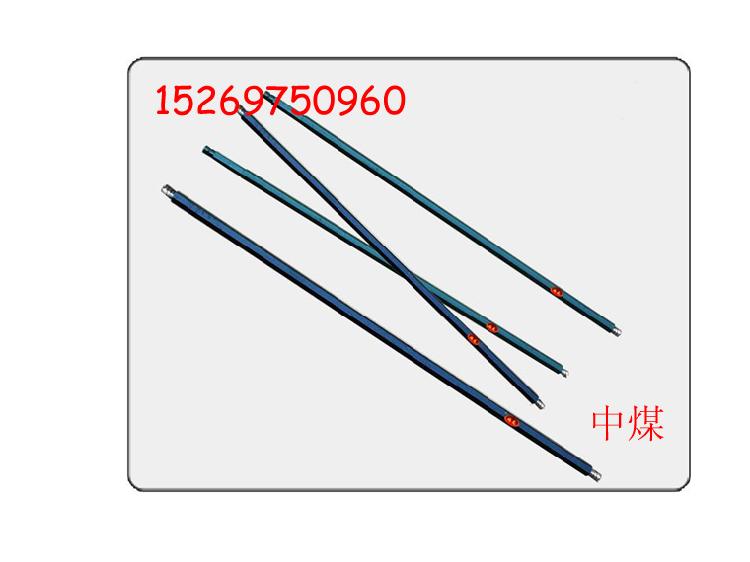 B19(B19)