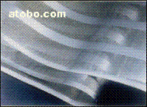(SHBT--022)