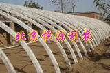 ǼܻǼܻǼܻɴǼܻԴũ