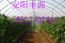 ֧ҴǼܻԴũƼ޹˾