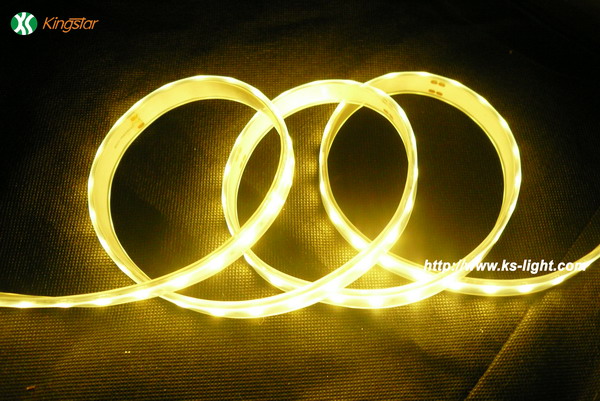 LED5060ˮ