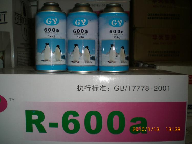 R600a(300g)