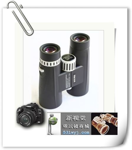 ݲڹֹ8X42