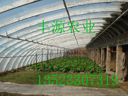 Ӧ֧ҴǼ