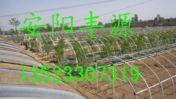 Ӧ๦ҴǼܻǼܻԴũ