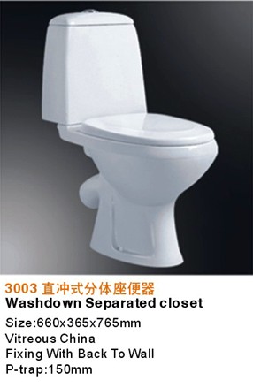 ֱʽ3004