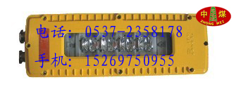 DGS10/127L