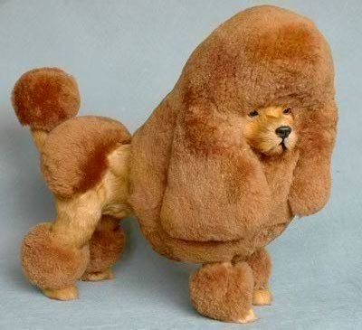 ķ