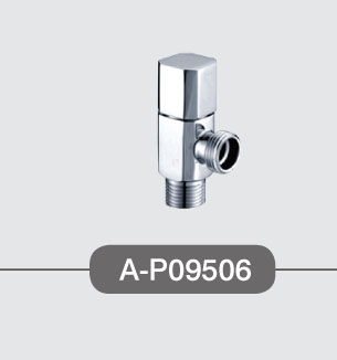 Ƿˮͷ(A-P09606)