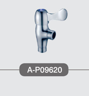 Ƿˮͷ(A-P09620)