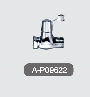 Ƿˮͷ(A-P09622)