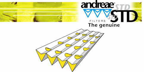 ANDREAEֽ