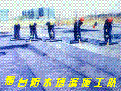 *̨ˮʩ(SBS)