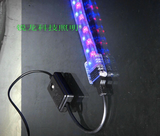 ledԵƴ(rl-dd-001)