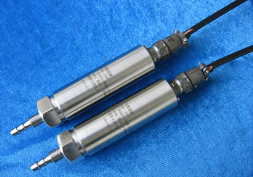 BPS306