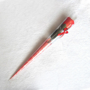肥皂花,香皂花(12563)