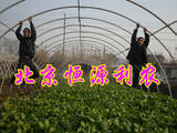 ǼܻԴũ