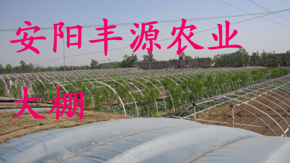 ֳҴǼܻ߲˴ǼܣԴũ