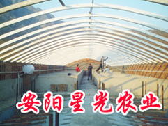 ϴǼܻǹũ