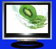 ɣҺ(NT1508)