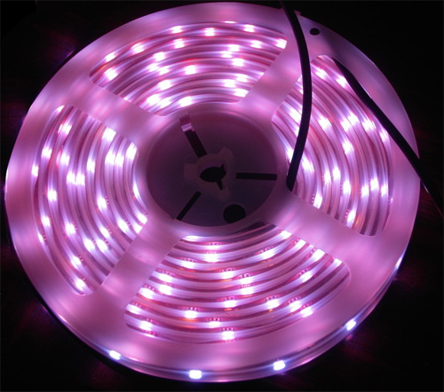 LEDƴ,LED