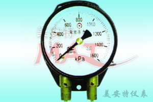 ˫ѹ(YZS-102)