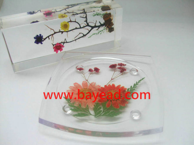 押花杯垫,押花饰品,押花纸镇,昆虫饰品,琥珀饰品,人工琥珀