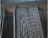 D547ŶѺ